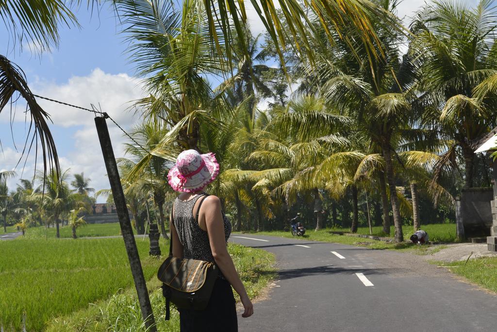 Angel House Ubud Eco Villa Kültér fotó