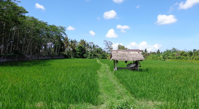 Angel House Ubud Eco Villa Kültér fotó